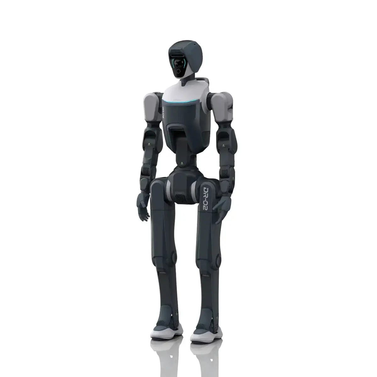 Deep Robotics DR02 Pro Industrial All-Weather Humanoid Robot — complete product view
