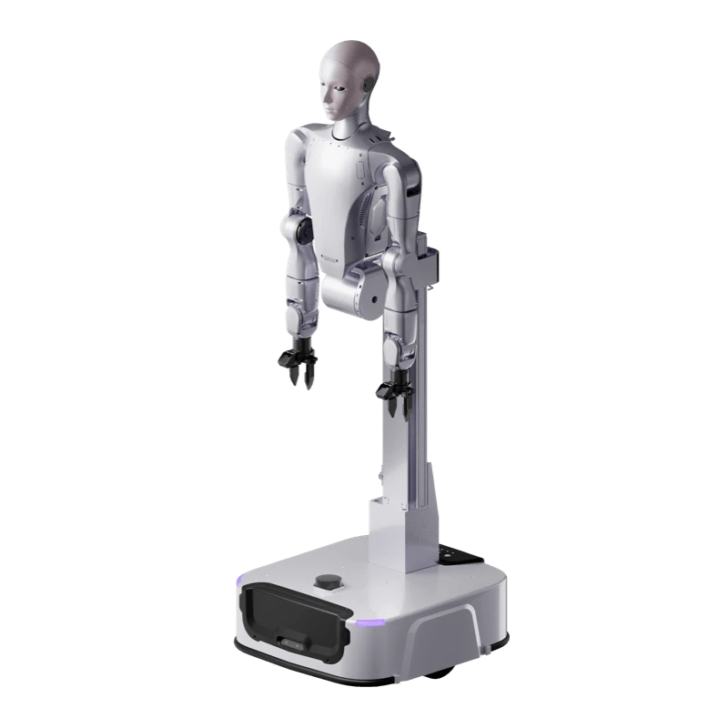 Unitree H2-D — complete product view